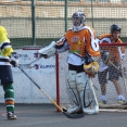 Wizards Cup 2014